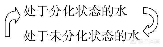 西方哲学怎么看待“一”的概念？